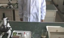 实验视频,揭秘科学奥秘的瞬间