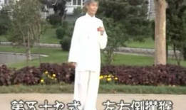 杨式85式太极拳视频,传承经典，动静结合的养生之道